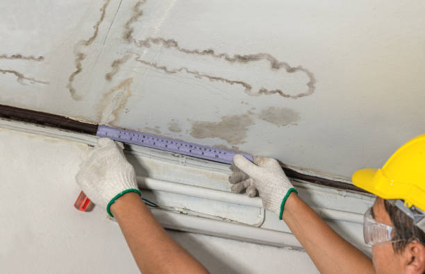 Reliable Water Damage contractor in Andover, NH by Water Damage Irwin